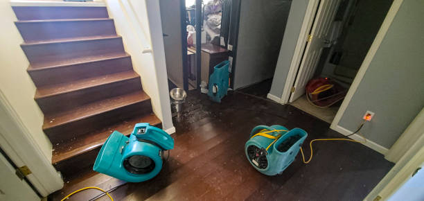 Best Water damage cleanup near me  in Sharon Hill, PA