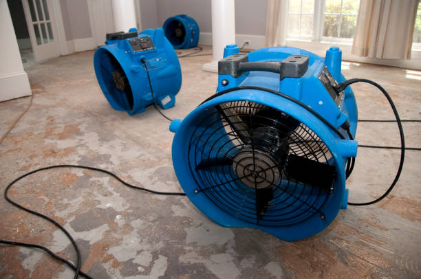 Best Water damage restoration services  in Sharon Hill, PA