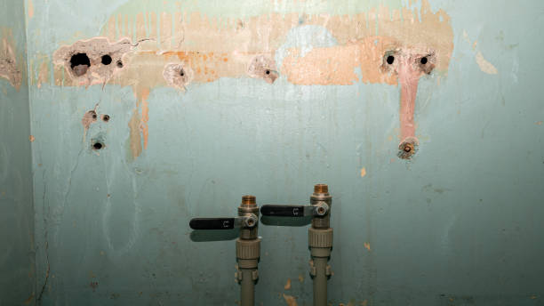 Best Carpet water damage restoration  in Sharon Hill, PA