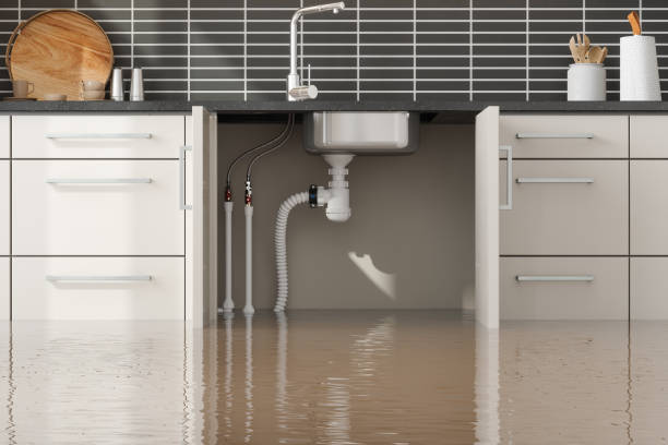 Best Water damage restoration insurance claims  in Sharon Hill, PA
