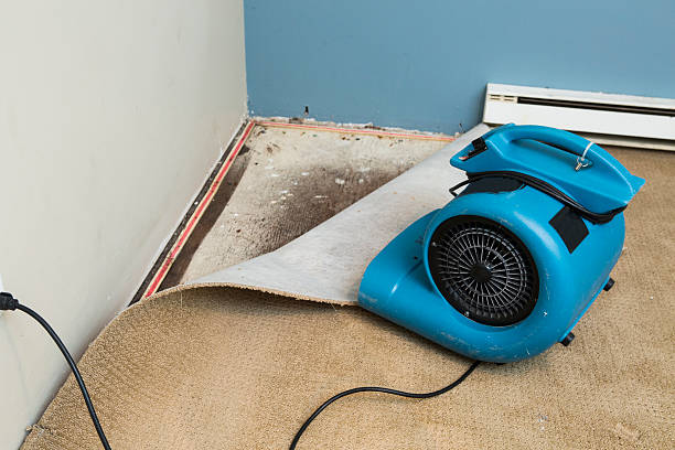 Best Flooded house restoration  in Sharon Hill, PA
